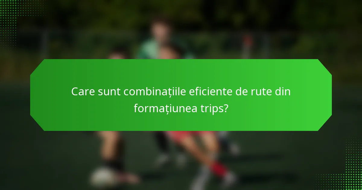 Care sunt combinațiile eficiente de rute din formațiunea trips?