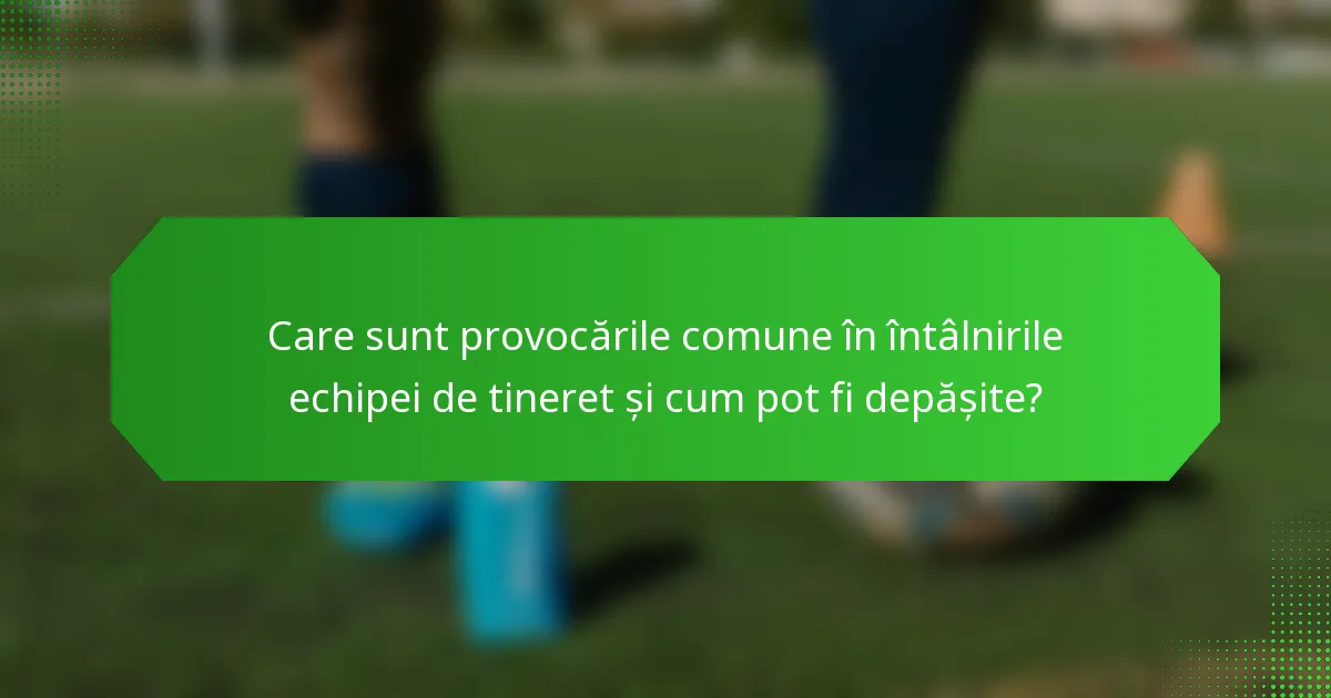 Care sunt provocările comune în întâlnirile echipei de tineret și cum pot fi depășite?