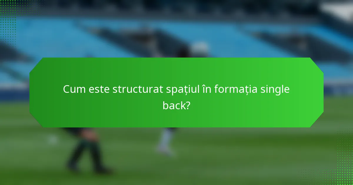 Cum este structurat spațiul în formația single back?