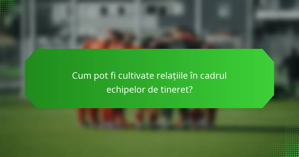 Cum pot fi cultivate relațiile în cadrul echipelor de tineret?